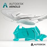 Autodesk Arnold 2024 (Windows) - 1 PC 1 Yıl Abonelik Kodu