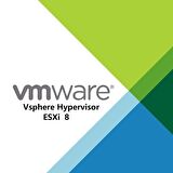 VMware Vsphere Hypervisor ESXi 8 - Lifetime/Ömür Boyu Dijital Kod
