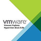 Vmware Vsphere Hypervisor (Esxi) 8.0b - Lifetime/Ömür Boyu Dijital Kod