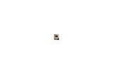Kelime-i Tevhid Gold Cam Tablo