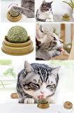 3 adet Kedi Nanesi Akıllı Dönen Top Kedi Oyuncağı Yalama Topu Doğal Kedi Nanesi 3 Adet