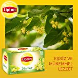 Lipton Ihlamur Bardak Poşet Bitki Çayı 20'li 