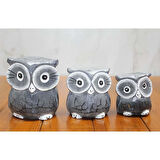 Ahşap 3'Lü Baykuş Seti