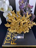 Kristal Kaideli Mercan Gold Renk