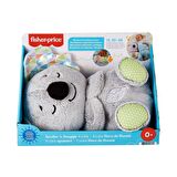 FABBATOYS  Fisher-Price® Uyku Arkadaşı Koala / +0