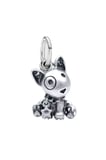 Yavru Köpek Sallantılı Charm