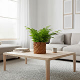 Natura Modern Dekoratif Saksı
