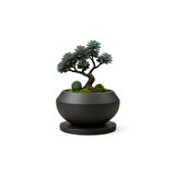 Dekoratif Bonsai Saksı