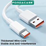 Forzacase Tabletler için Hızlı Şarj Destekli 120W Type-C USB Şarj Cihazı Adaptör + Kablo Set FC1025