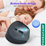 Forzacase 1600 DPI Şarj Edilebilir 2.4 GHz Ergonomik Bluetooth Kablosuz Mouse - FC745