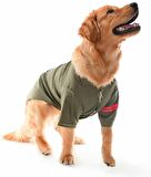 Orta ve Büyük Irk Köpek Gömlek - Rajo