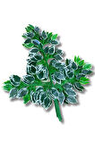 Yapay Çiçek Demet Ficus Dalı 12 Adet 65 Cm