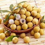 Aşılı Longan Fidanı (6 YAŞ 100 CM ÜZERİ)
