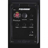 FISHMAN PSY101-N40  EKOLAYZER