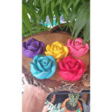 Hediyelik 5 Li  Rengarenk Gül Şeklinde Koku Taşı