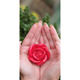 Hediyelik 5 Li  Rengarenk Gül Şeklinde Koku Taşı