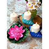 Denizkabuğu Şeklinde Mumluk Saksı Dekor