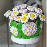 Sunum Papatyalı Demeti  Saksı Dekor