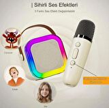 Taşınabilir Bluetooth Hoparlör Kablosuz Karaoke Yılbaşı Müzik Eğlence Bluetooth Hoparlör Mikrafonlu