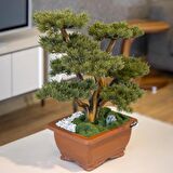 Flora Bonsai-4 Masaüstü Kullanıma Uygun Doğal Ağaç Gövdeli Yapay Bonsai Ağacı - 40x50 Cm