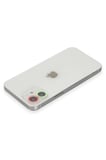 Newface Apple iPhone 12 Mini Renkli Kamera Lens Koruma Cam - Yeşil-Pembe