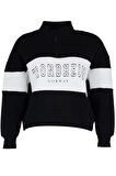 Kadın Büyük Beden Moda Regular Dik Yaka Düşük Kol Regular Fermuarlı Kalın Şardonlu Örme Sweatshirt