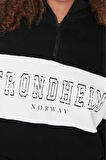 Kadın Büyük Beden Moda Regular Dik Yaka Düşük Kol Regular Fermuarlı Kalın Şardonlu Örme Sweatshirt