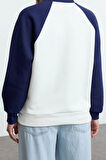 Kadın Moda Relaxed Bisiklet Yaka Reglan Kol Uzun Relaxed Kalıp Reglan Kollu Kalın Örme Sweatshirt