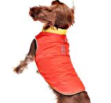 Küçük ve Orta Irk Köpek Mont Murpota Turuncu