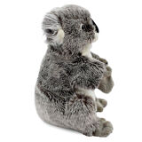  Koala Kukla (Tüm Beden) 26 cm