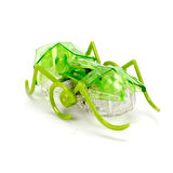 Çocuk HexBots Nano Karınca