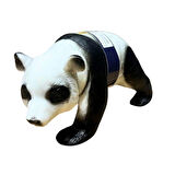 Eğitici Çocuk Vahşi Hayvanlar