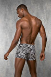 Zebra,desenli Erkek  Boxer 1814