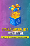 Steam Random Wonderful Key