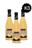 Ananas Sirkesi 500cc Cam x 3 Adet