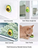Avokado Kedi Nanesi Otu Oyun Topu Oyuncağı Top Oyuncak Kedi Yalama Topu