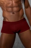 Doreanse Kısa Boxer 1760
