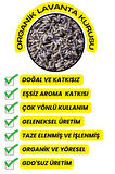 Doğal Lavanta 25GR