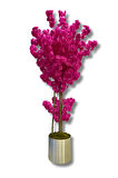 Fuşya Bahar Dalı 200 Cm Yapay Ağaç 30x30 Metal Saksı