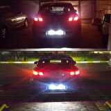 Renault Megane 3 LED Plaka Aydınlatma Ampulu FEMEX T10