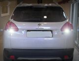 Peugeot 2008 Led Geri Vites Aydınlatma Ampulu FEMEX Platinum W16W