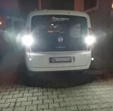 Fiat Doblo D3 D4 Led Geri Vites Aydınlatma Ampulu FEMEX Platinum W16W