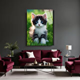 Kurt Cam Tablo | Dayanıklı Temperli Cam 