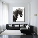 Hayvan Fotoğrafları Cam Tablo | Dayanıklı Temperli Cam
