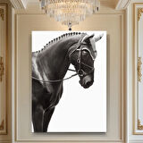 Hayvan Fotoğrafları Cam Tablo | Dayanıklı Temperli Cam