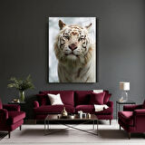 Hayvan Fotoğrafları Cam Tablo | Dayanıklı Temperli Cam