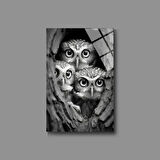 Hayvan Fotoğrafları Cam Tablo | Dayanıklı Temperli Cam