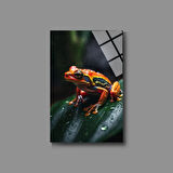 Hayvan Fotoğrafları Cam Tablo | Dayanıklı Temperli Cam