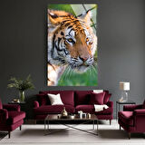 Hayvan Fotoğrafları Cam Tablo | Dayanıklı Temperli Cam