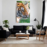 Hayvan Fotoğrafları Cam Tablo | Dayanıklı Temperli Cam